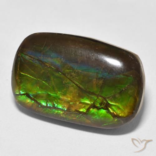 16.16 ct Multicolor Ammolite Stone, Natural Ammolite in Fancy Cabochon Shape for Sale