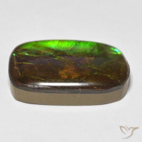 Ammolite Gemstone in 21.8 x 13.8 mm Size for Sale, Ammolite Stone in Multicolor Color
