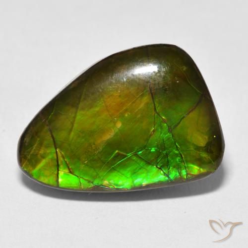 13.40ct Natural Multicolor Ammolite, Fancy, Opaque