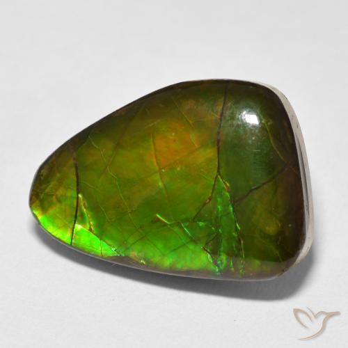 13.40 ct Multicolor Ammolite Stone, Natural Ammolite in Fancy Cabochon Shape for Sale