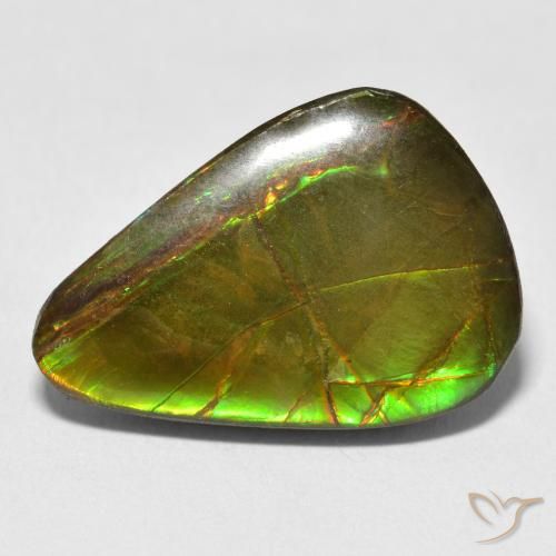 11.59ct Natural Multicolor Ammolite, Pear Shape, Opaque