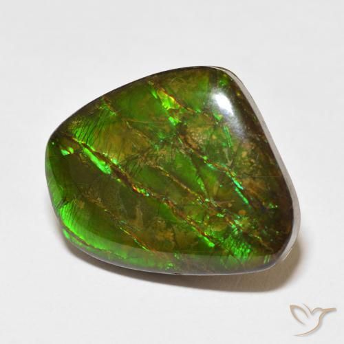 18.11 ct Multicolor Ammolite Stone, Natural Ammolite in Fancy Cabochon Shape for Sale