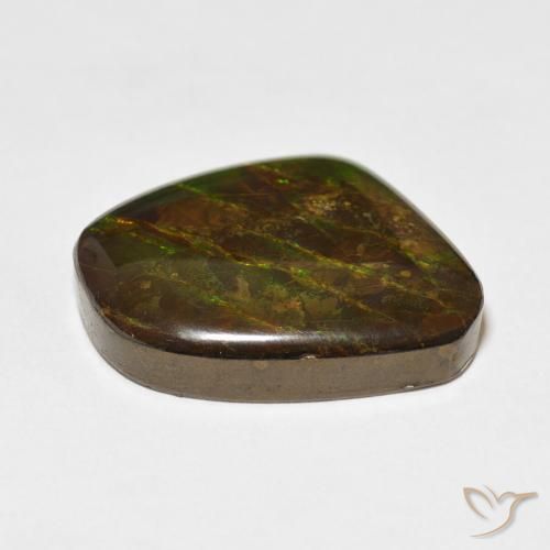 Ammolite Gemstone in 20.2 x 17.9 mm Size for Sale, Ammolite Stone in Multicolor Color