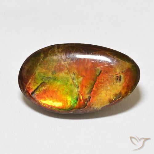 15.62ct Natural Multicolor Ammolite, Fancy, Opaque