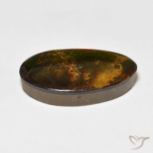 Ammolite Gemstone in 23.3 x 13.5 mm Size for Sale, Ammolite Stone in Multicolor Color