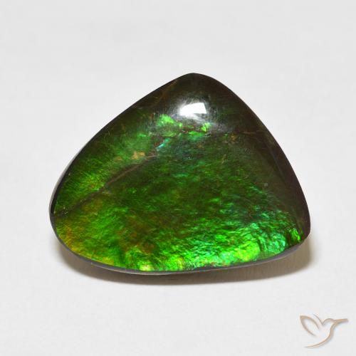11.37ct Natural Multicolor Ammolite, Fancy, Opaque