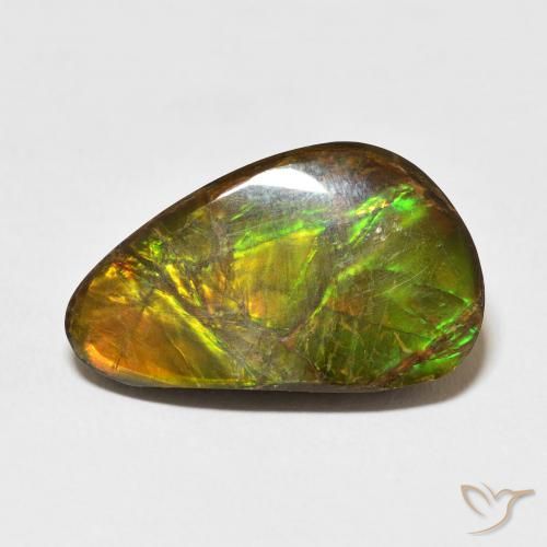 14.61ct Natural Multicolor Ammolite, Fancy, Opaque