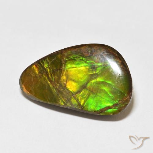 14.61 ct Multicolor Ammolite Stone, Natural Ammolite in Fancy Cabochon Shape for Sale