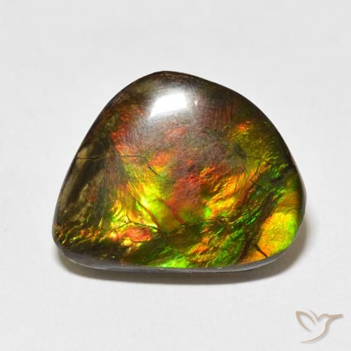 11.60ct Natural Multicolor Ammolite, Fancy, Opaque