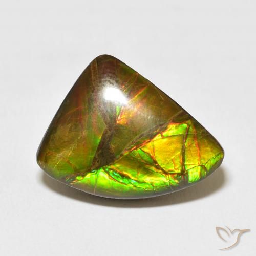 10.22ct Natural Multicolor Ammolite, Fancy, Opaque