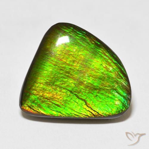 16.47ct Natural Multicolor Ammolite, Fancy, Opaque