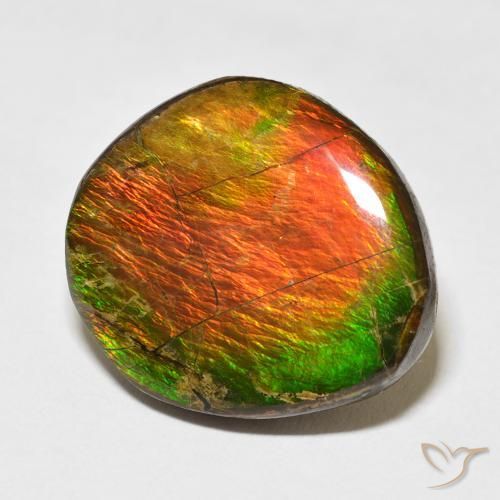 17.77 ct Multicolor Ammolite Stone, Natural Ammolite in Fancy Cabochon Shape for Sale