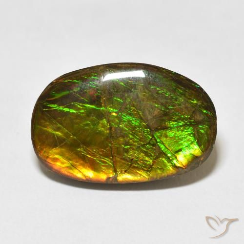 16.55ct Natural Multicolor Ammolite, Fancy, Opaque