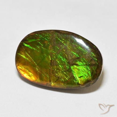 16.55 ct Multicolor Ammolite Stone, Natural Ammolite in Fancy Cabochon Shape for Sale