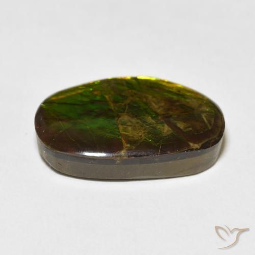 Ammolite Gemstone in 22 x 14.3 mm Size for Sale, Ammolite Stone in Multicolor Color