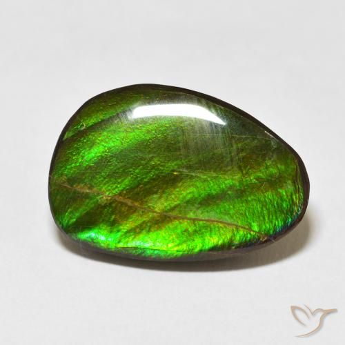 15.09ct Natural Multicolor Ammolite, Fancy, Opaque