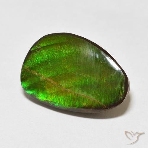 15.09 ct Multicolor Ammolite Stone, Natural Ammolite in Fancy Cabochon Shape for Sale