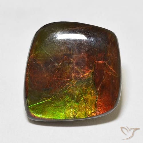 11.81ct Natural Multicolor Ammolite, Fancy, Opaque