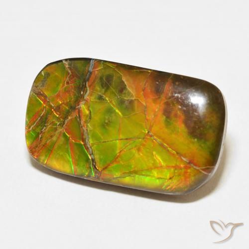 16.23 ct Multicolor Ammolite Stone, Natural Ammolite in Cushion Cabochon Shape for Sale