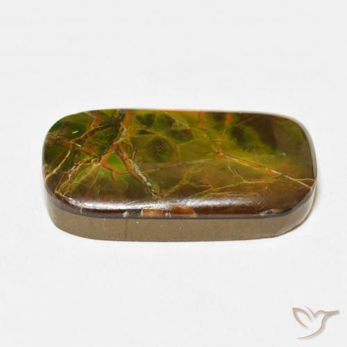 Ammolite Gemstone in 23.7 x 14.1 mm Size for Sale, Ammolite Stone in Multicolor Color