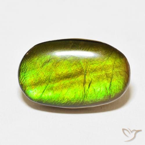 13.74ct Natural Multicolor Ammolite, Oval, Opaque
