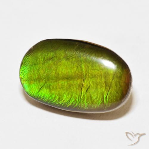 13.74 ct Multicolor Ammolite Stone, Natural Ammolite in Oval Cabochon Shape for Sale