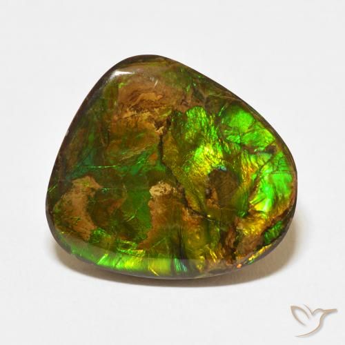 13.95ct Natural Multicolor Ammolite, Fancy, Opaque