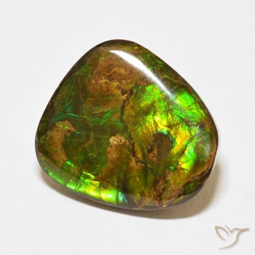 13.95 ct Multicolor Ammolite Stone, Natural Ammolite in Fancy Cabochon Shape for Sale