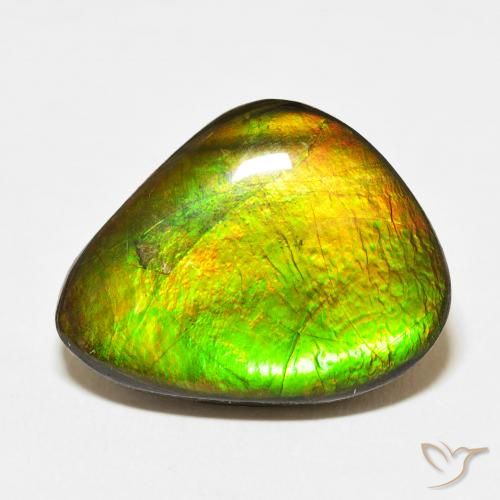 15.27ct Natural Multicolor Ammolite, Fancy, Opaque