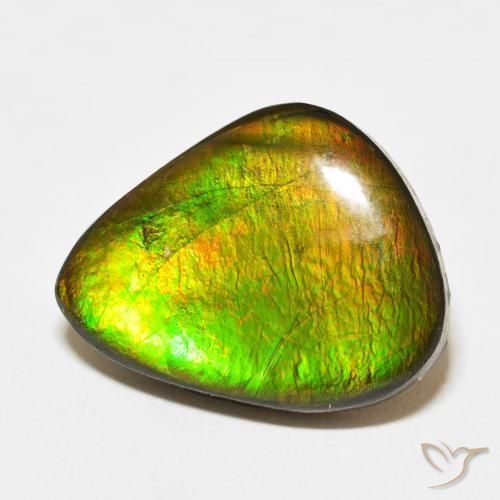 15.27 ct Multicolor Ammolite Stone, Natural Ammolite in Fancy Cabochon Shape for Sale
