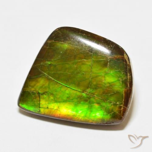 21.56 ct Multicolor Ammolite Stone, Natural Ammolite in Fancy Cabochon Shape for Sale