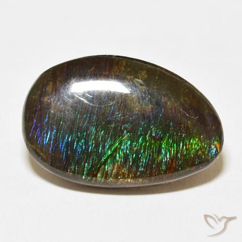 14.24ct Natural Multicolor Ammolite, Fancy, Opaque