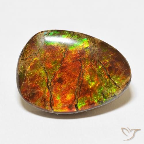 15.07ct Natural Multicolor Ammolite, Fancy, Opaque