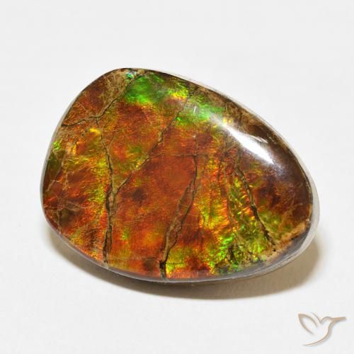 15.07 ct Multicolor Ammolite Stone, Natural Ammolite in Fancy Cabochon Shape for Sale