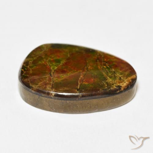 Ammolite Gemstone in 21.3 x 15.4 mm Size for Sale, Ammolite Stone in Multicolor Color