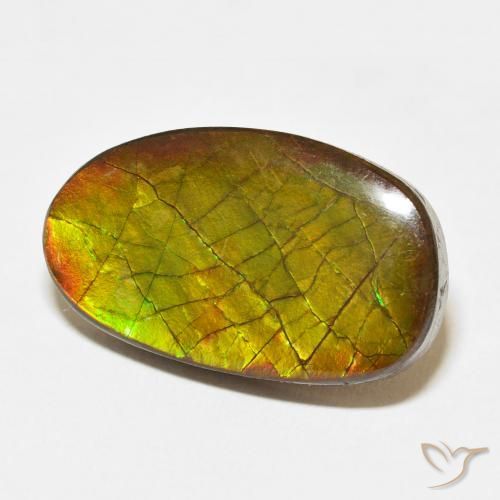 13.58 ct Multicolor Ammolite Stone, Natural Ammolite in Fancy Cabochon Shape for Sale