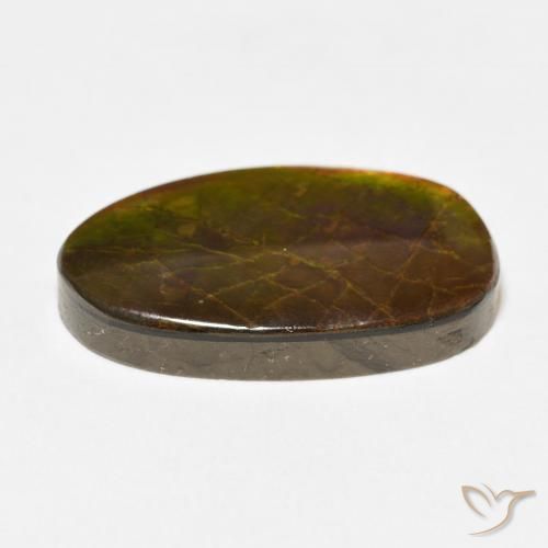 Ammolite Gemstone in 23.2 x 13.9 mm Size for Sale, Ammolite Stone in Multicolor Color