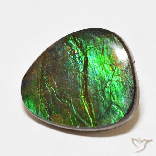 12.67 ct Multicolor Ammolite Stone, Natural Ammolite in Fancy Cabochon Shape for Sale