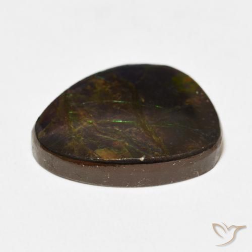 Ammolite Gemstone in 19 x 16.2 mm Size for Sale, Ammolite Stone in Multicolor Color