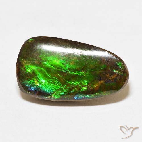 12.15ct Natural Multicolor Ammolite, Fancy, Opaque