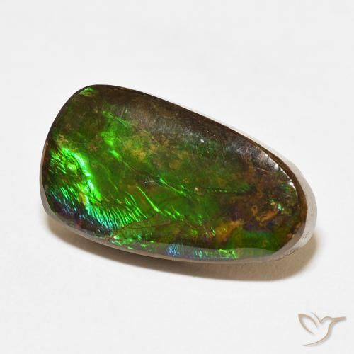 12.15 ct Multicolor Ammolite Stone, Natural Ammolite in Fancy Cabochon Shape for Sale