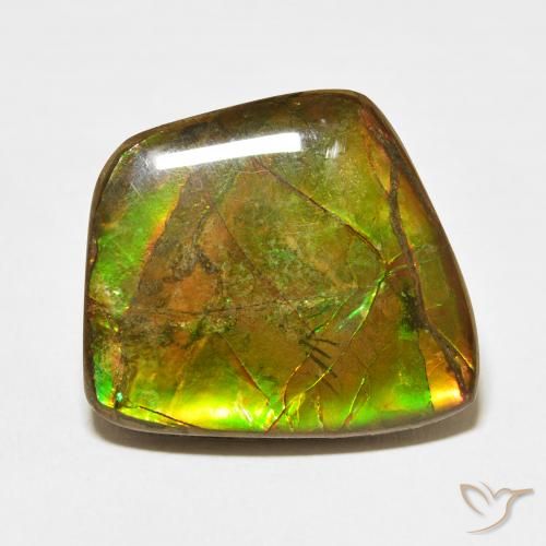 17.11ct Natural Multicolor Ammolite, Fancy, Opaque