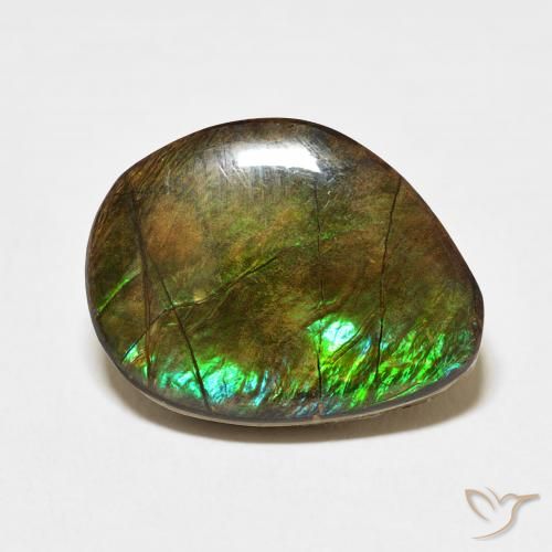 11.66ct Natural Multicolor Ammolite, Fancy, Opaque