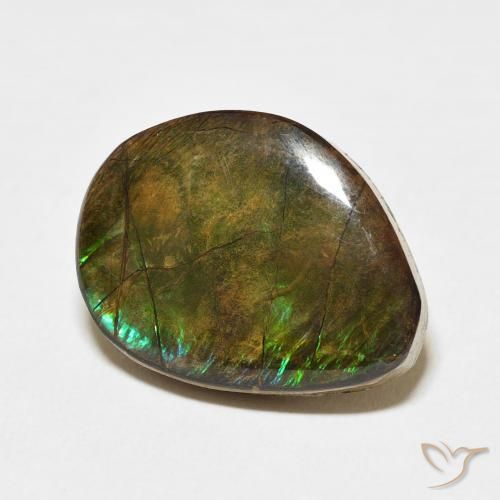 11.66 ct Multicolor Ammolite Stone, Natural Ammolite in Fancy Cabochon Shape for Sale