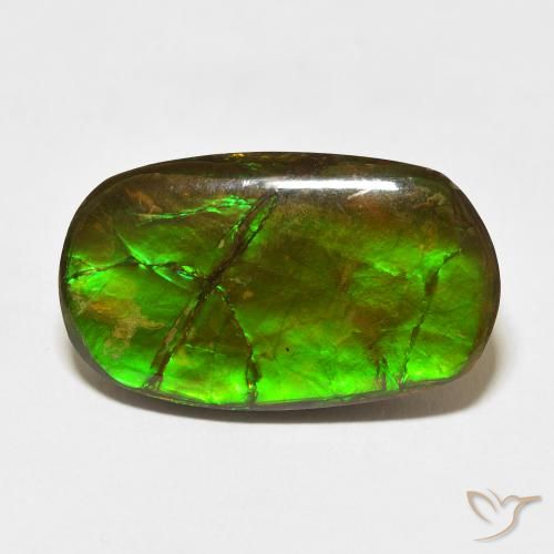 18.47ct Natural Multicolor Ammolite, Fancy, Opaque
