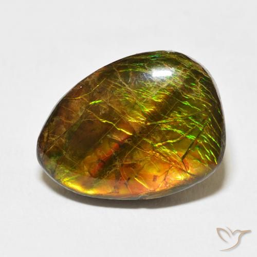 12.20ct Natural Multicolor Ammolite, Fancy, Opaque