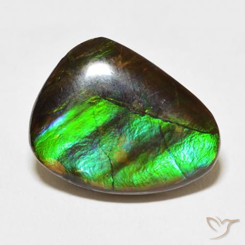 11.84ct Natural Multicolor Ammolite, Fancy, Opaque