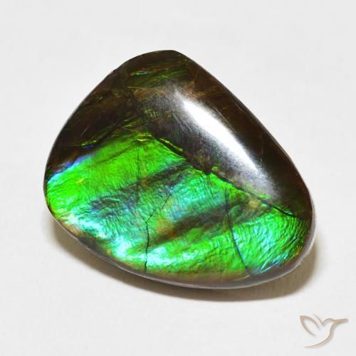 11.84 ct Multicolor Ammolite Stone, Natural Ammolite in Fancy Cabochon Shape for Sale