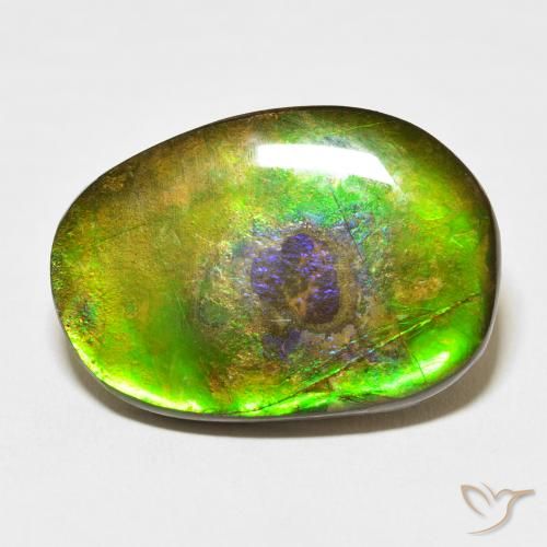 21.49ct Natural Multicolor Ammolite, Fancy, Opaque