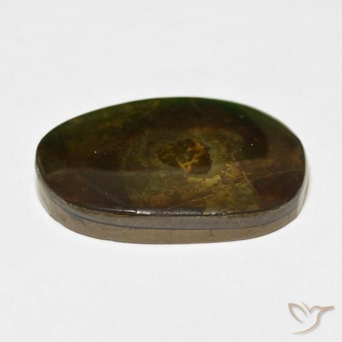 Ammolite Gemstone in 26.4 x 18.2 mm Size for Sale, Ammolite Stone in Multicolor Color